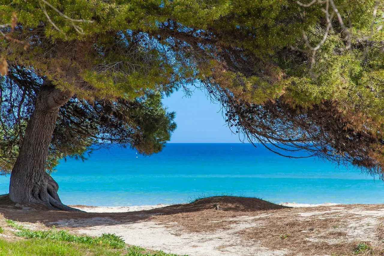 Formentera 2 Villa Can Picafort  Can Picafort (Mallorca)